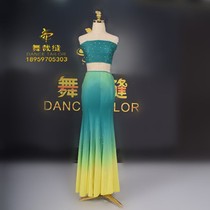 Dai dance clothing new female national style peacock dance performance clothing Art examination female slim-fit hip fish tail skirt customization