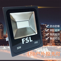 Foshan lighting led flood light Super series 20w30w50w100w outdoor waterproof advertising projection flood light