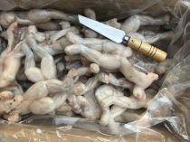 Fresh frozen Bullfrog paradise Bullfrog pickled pepper whole box gross weight about 10kg Jiangsu Zhejiang and Shanghai