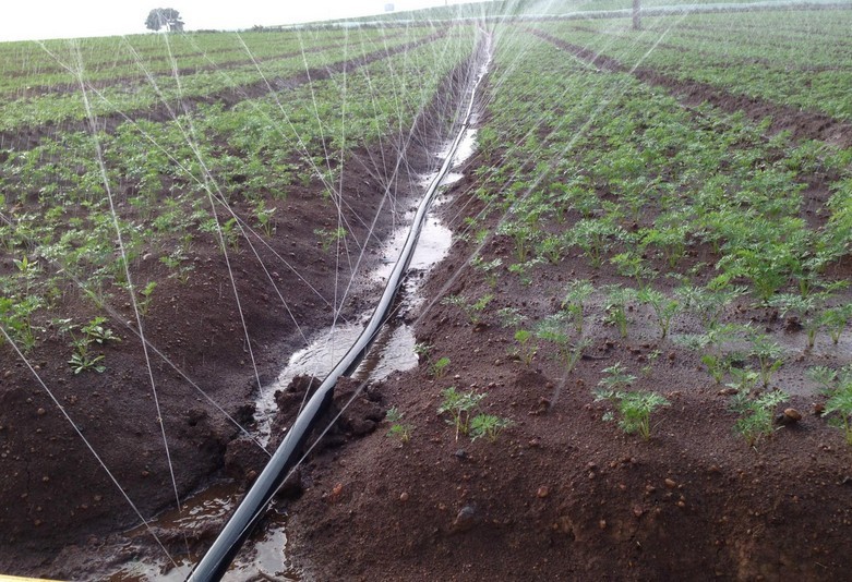 水管滴灌带 微喷带1寸 喷灌 滴管带 农用雾化带 节水微喷水管接头_双