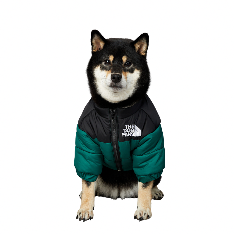 O1CN01HGKCj82AYynKiUcgt_!!93238216.png