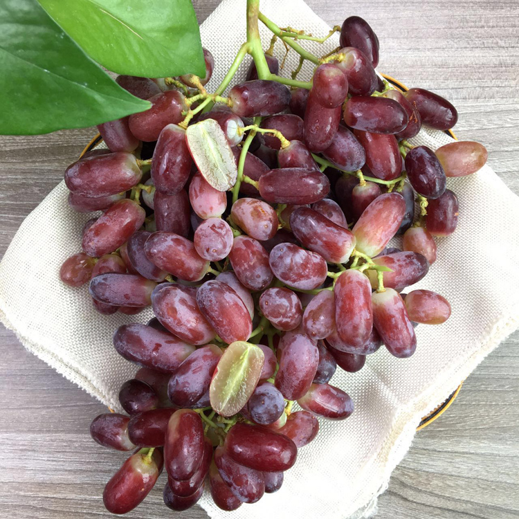 澳洲美人指无籽红提2斤手指提子进口葡萄新鲜红提水果顺丰包邮