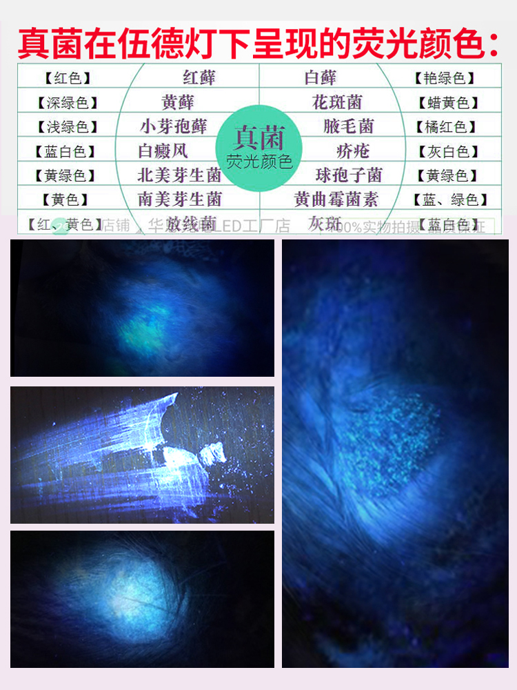 猫友乐园|紫外线黑光灯手电筒狗癣猫癣宠物医院真菌检测 伍德氏灯