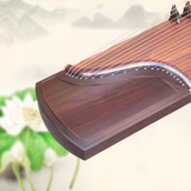 Da Yin Xisheng Tong Yun musical instrument ebony plain solid wood playing collectible guzheng adults and children grading practice