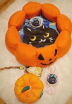 Little Cats Halloween (dont return dont change