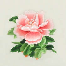 Beginner Su embroidery DIY kit material package No foundation can be embroidered with traces of map reference manual decorative painting Peony class