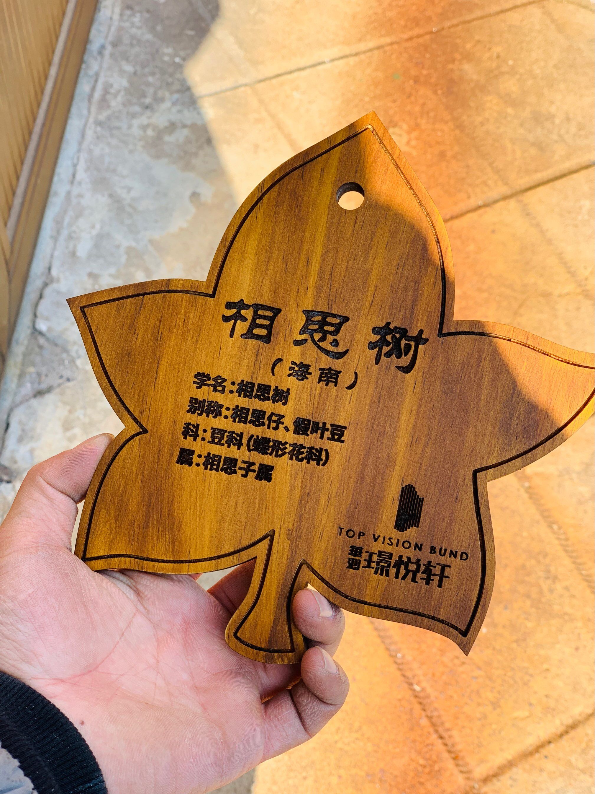 树牌花草牌树木植物装饰木牌挂牌警示牌广告牌提示牌标识牌