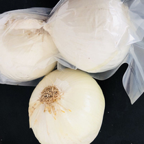 (Xianni) Xinjiang skin teeth 5kg aviation white onion white onion fresh vegetables