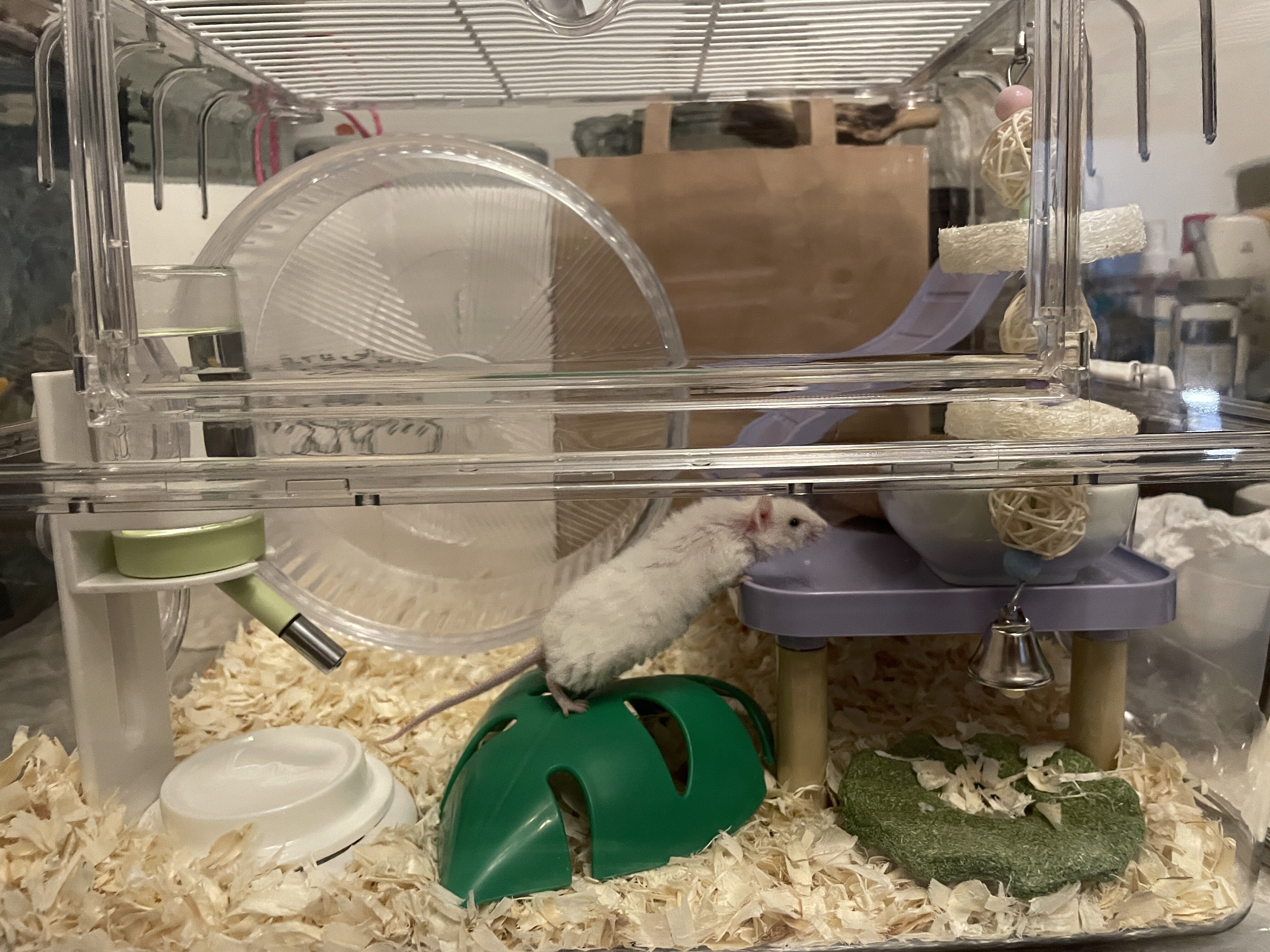 威毕仓鼠笼子金丝熊造景小屋用品亚克力水晶全透明饲养箱豪华别墅