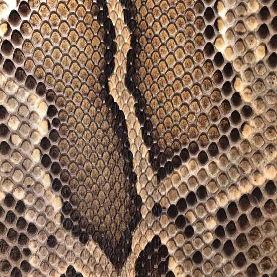Erhu Python Skin Yuehu Zhonghu Zhamunian Rewapu 비행 진양소 피부 가오후 Qinskin 피부 피부 Erhu Python Skin Yuehu Zhonghu Zhamunian Rewapu 비행 진양소 피부 가오후 Qinskin 피부 피부