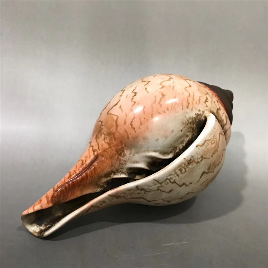 如图全品  尺寸  长18厘米  备注  此件拍品以仿生瓷制作海螺,造型生