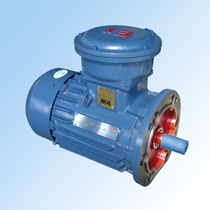 Explosion-proof motor {can be equipped with reducer}