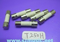Import 250ma 5mm x 20mm T250 250V Ceramic fuse Insurance Tube