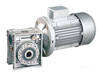 Worm gear reducer RV series (can be equipped with motor)