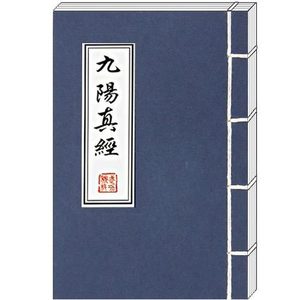 九阳真经 九阳神功内功心法 完整 武林秘籍功法