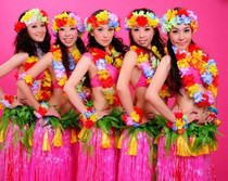 12-piece Hawaiian grass skirt Garland series thick hula dance skirt clothing 80CM suit