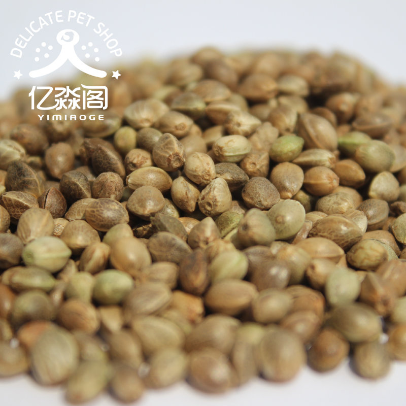 倉鼠糧倉鼠糧食谷物最愛-麻子火麻仁100g倉鼠松鼠最愛零食
