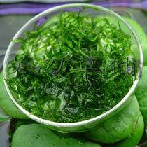 Knife Grass Laying Fire Moses 1 Piece Knife Grass Laying Water Medium Leaf Aquatic Weeds Overflowing Net Grassland Cargo