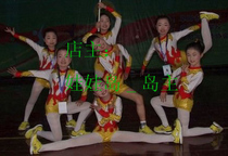 Childrens gymnastics uniforms Childrens dance uniforms