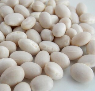 云南农家豆类杂粮小白芸豆250g白豆珍珠豆饭豆炖菜煲汤磨豆浆