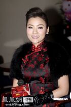 2018 New Star Chen Sisi black plum fashion improved cheongsam skirt Autumn Winter