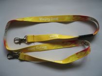2008 The hanging rope of the Beijing Paralympic Games collection