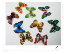 Curtain accessories accessories Curtain pin Curtain decoration simulation luminous butterfly pin one dollar one dollar one dollar one dollar one dollar one dollar one dollar one dollar one dollar one dollar one dollar one dollar one dollar