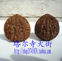 The Wen playing official hat walnut slows down aging and fasts and promotes blood