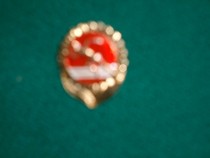 Sports exercise meets the standard of remembrance of the chest