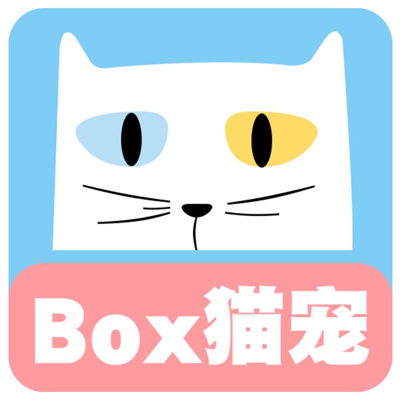 box猫宠 仰望星空