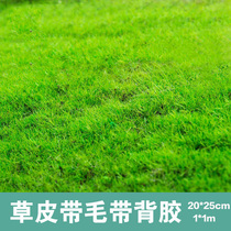 Model Lawn Scene Vegetable Leather Simulation Advanced Turf Field Lawn Lawn Grass With Back Glue 1 Clothing