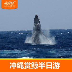 冲绳自由行 赏鲸半日游 中文导游那霸出发酒店