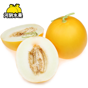 河阴 甘肃黄河蜜瓜约5斤 新鲜时令水果黄金香