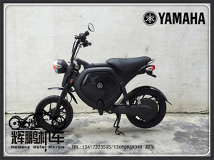 辉鹏机车 YAMAHA EC-02 雅马哈电动车 锂电池