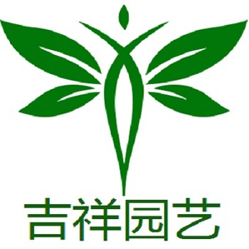 吉祥多肉土 园艺植材