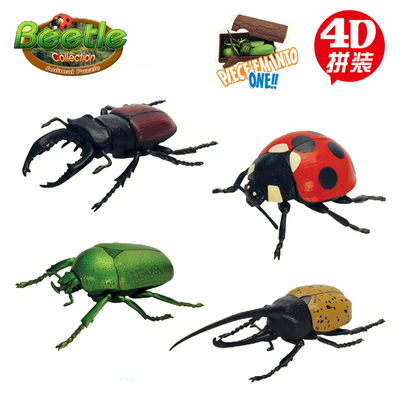 3d玩具拼插拼图蚂蚁拼装昆虫蛋立体生物立体动物螳螂模型蝴蝶天牛怎么版蝴蝶结不会掉图片
