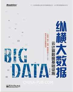 正版\/纵横大数据 云计算数据基础设施 大数据管