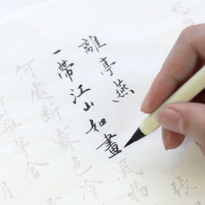 长书 毛笔字帖成人小楷字帖行楷书法入门练习