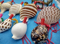 Full 35 yuan variety of natural conch blowing conch Whistle whistle childrens toys shell crafts