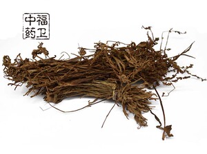 福卫中药 盘龙参 盘龙七 盘龙草 鲤鱼草 猪鞭草