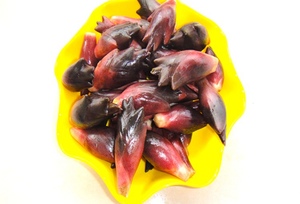 野生大别山新鲜阳荷姜莲花姜茗荷阳霍洋菏姜洋