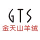 gts旗舰店