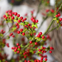 High simulation red bean Acacia berries long branches living room floor hair wall hanging tree Christmas decoration fake flowers