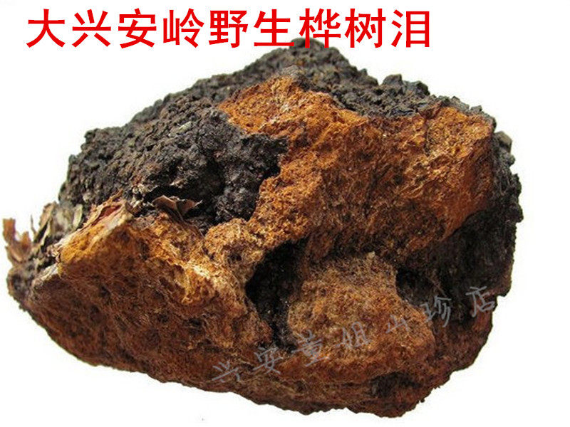 桦树泪白桦茸桦褐孔菌东北黑龙江大兴安岭野生两份包邮