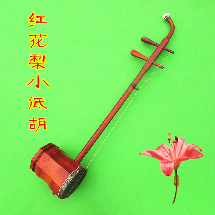 小低胡 红花梨小低胡 专业演奏型低胡 艺海直销 买就送 特价促销