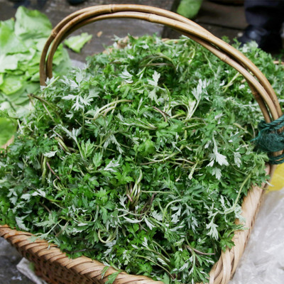 野生新鲜蒿菜2018湘西新晃天然白蒿子粑粑饼青团社饭蒿菜500g