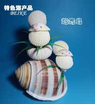 Shell conch crafts flying both wings Mandarin duck bird natural shell conch handmade gifts