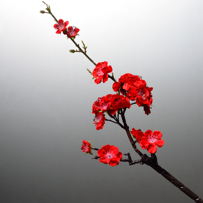 仿真梅花枝假花摆件防真花腊梅干花花束干枝客厅摆设餐桌装饰花艺