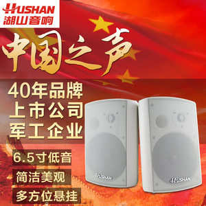 湖山CB400-21有源多媒体音箱教学会议广播音
