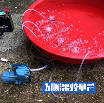 接电瓶12v氧气泵车载增氧泵直流大功率卖鱼增氧机养鱼充打氧小型